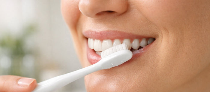 Collagen for Gum Recession and Daily Habits That Matter Most