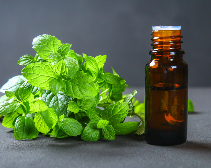 Natural Oral Care: A Healthier Way to Protect Your Smile